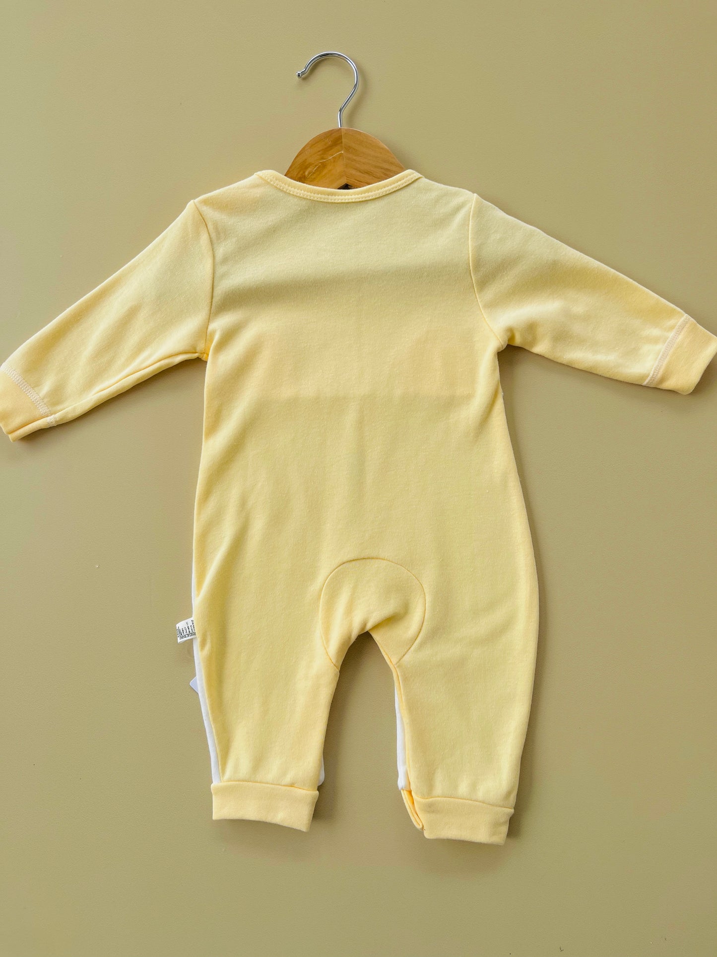 Bear bodysuit