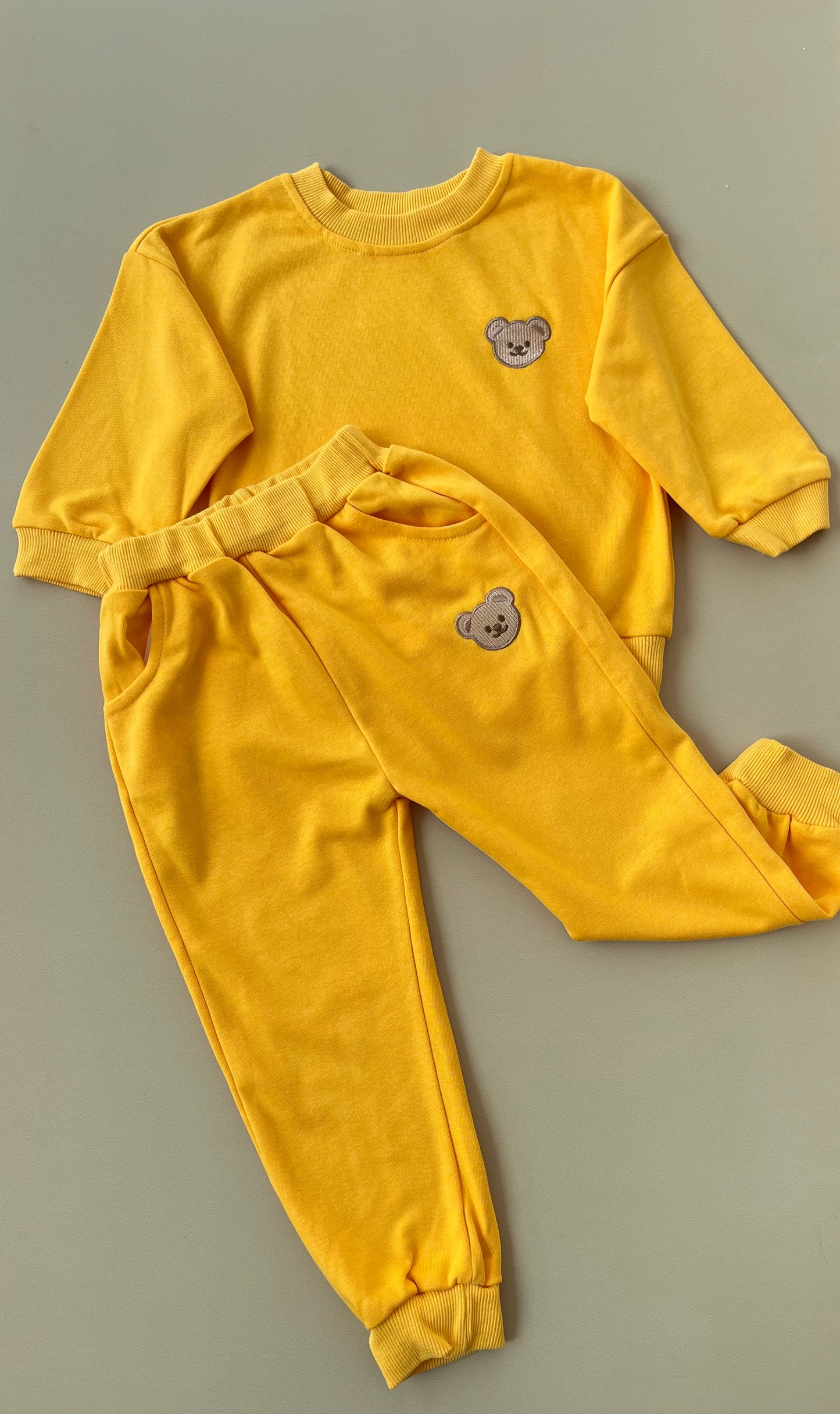 Beary sweatshirt set