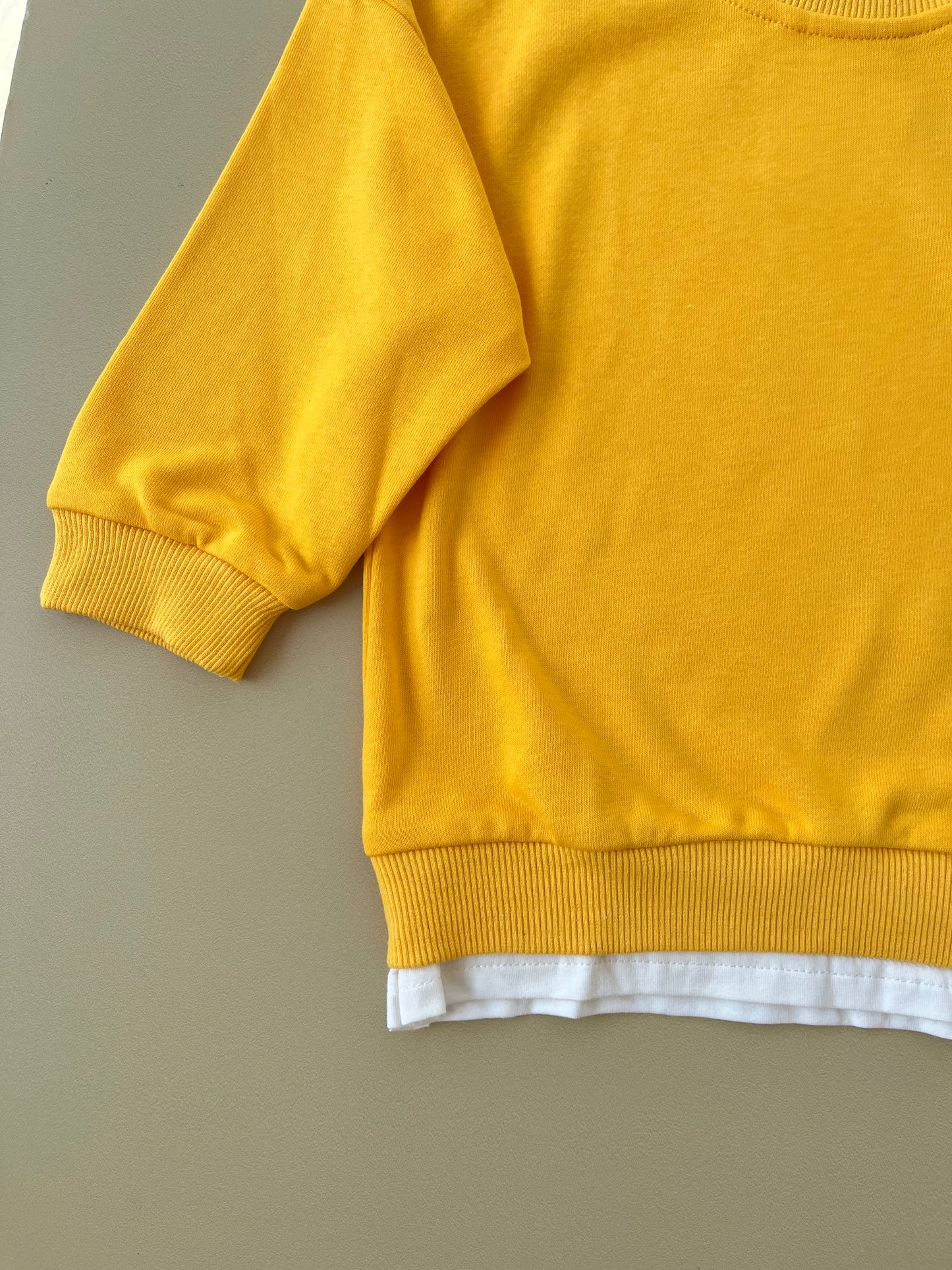 Beary sweatshirt set