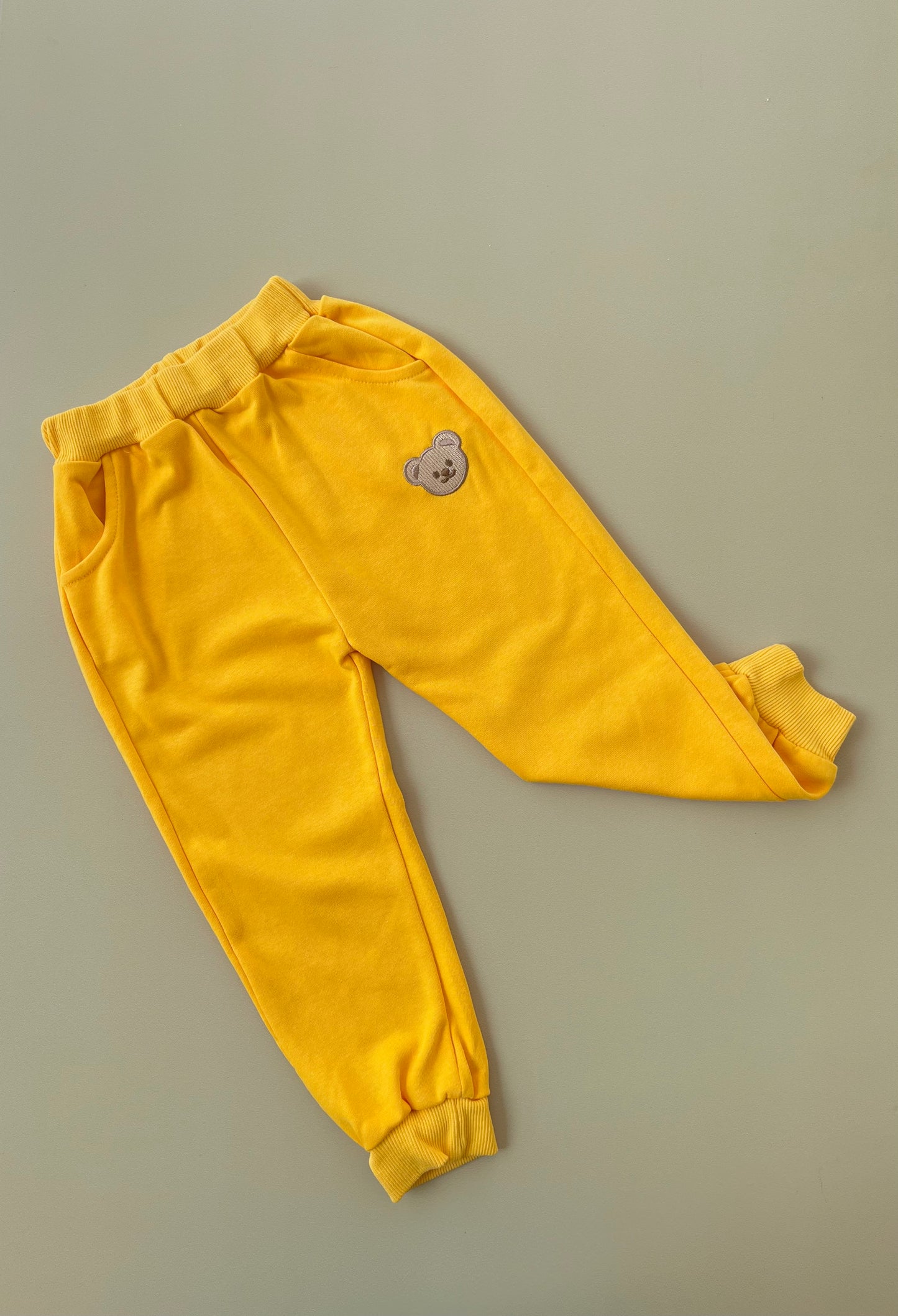 Beary sweatshirt set